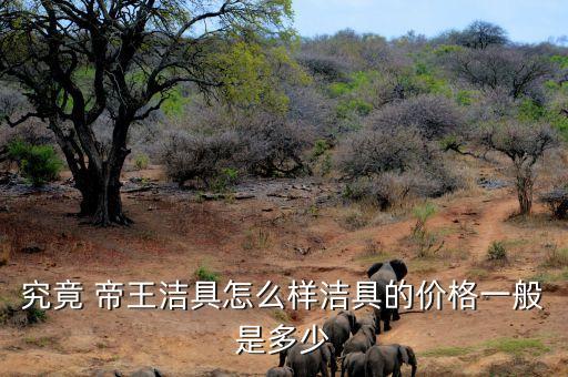 究竟 帝王潔具怎么樣潔具的價(jià)格一般是多少