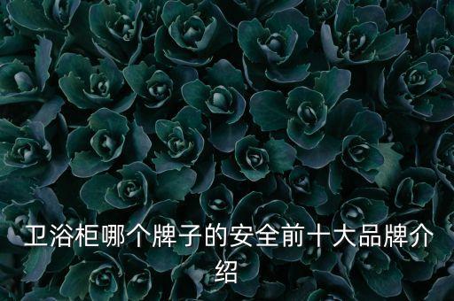  衛(wèi)浴柜哪個牌子的安全前十大品牌介紹