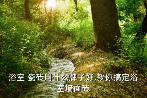 浴室 瓷磚用什么牌子好,教你搞定浴室墻面磚