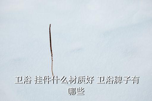  衛(wèi)浴 掛件什么材質(zhì)好 衛(wèi)浴牌子有哪些