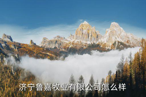 濟(jì)寧魯嘉牧業(yè)有限公司怎么樣