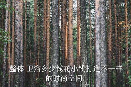  整體 衛(wèi)浴多少錢花小錢打造不一樣的時尚空間!