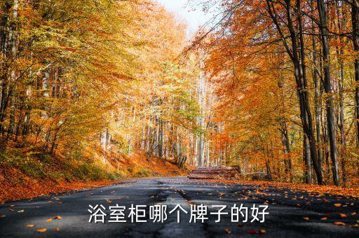 輕奢落地雙臺盆衛(wèi)浴柜圖片