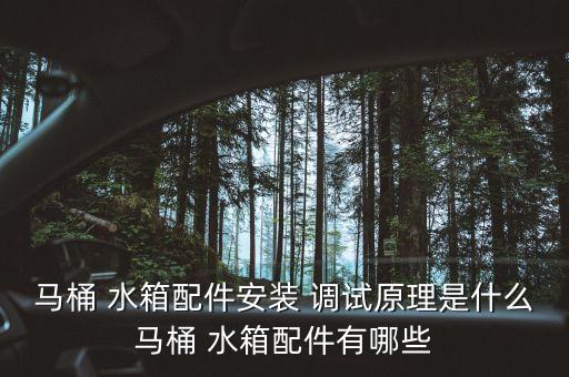 衛(wèi)浴水箱開關(guān)調(diào)試圖片大全