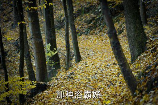 那種浴霸好