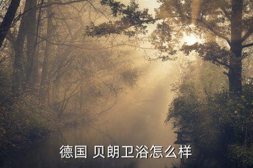 德國 貝朗衛(wèi)浴怎么樣