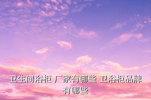 衛(wèi)生間浴柜 廠家有哪些 衛(wèi)浴柜品牌有哪些