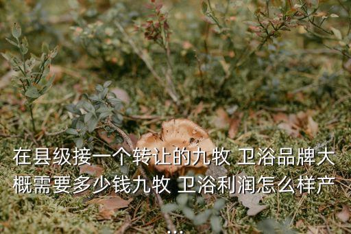 在縣級接一個(gè)轉(zhuǎn)讓的九牧 衛(wèi)浴品牌大概需要多少錢九牧 衛(wèi)浴利潤怎么樣產(chǎn)...