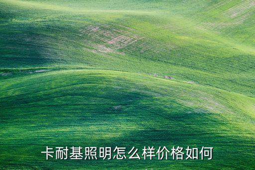 卡耐基照明怎么樣價格如何
