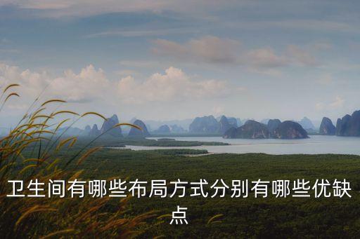 衛(wèi)生間有哪些布局方式分別有哪些優(yōu)缺點