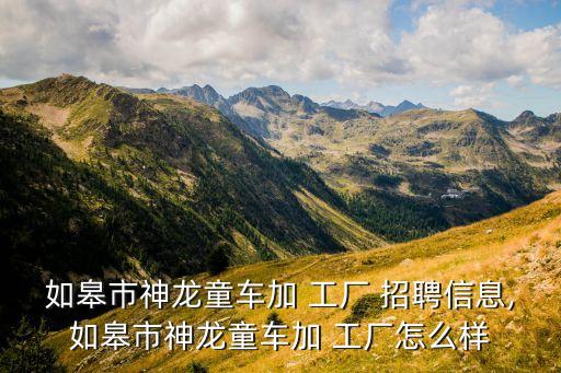 如皋市神龍童車加 工廠 招聘信息,如皋市神龍童車加 工廠怎么樣