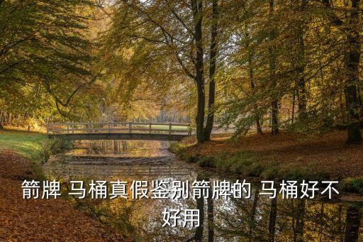 衛(wèi)浴圖片馬桶,九牧王衛(wèi)浴馬桶價(jià)格表圖片