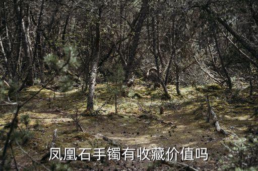 鳳凰石手鐲有收藏價(jià)值嗎