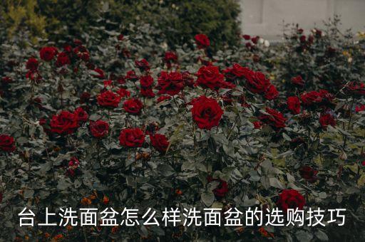 臺(tái)上洗面盆怎么樣洗面盆的選購技巧