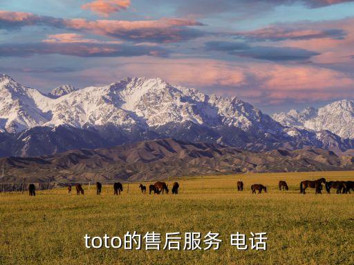 toto的售后服務(wù) 電話