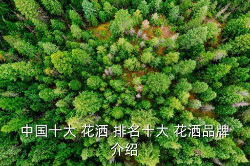 中國十大 花灑 排名十大 花灑品牌介紹