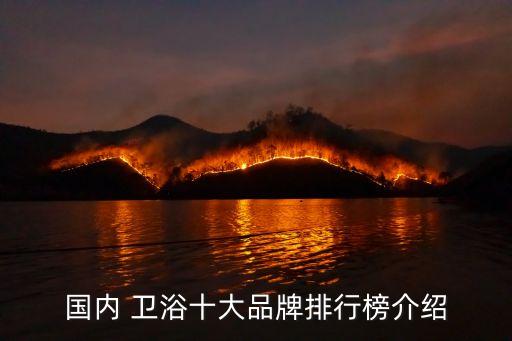 國內(nèi) 衛(wèi)浴十大品牌排行榜介紹