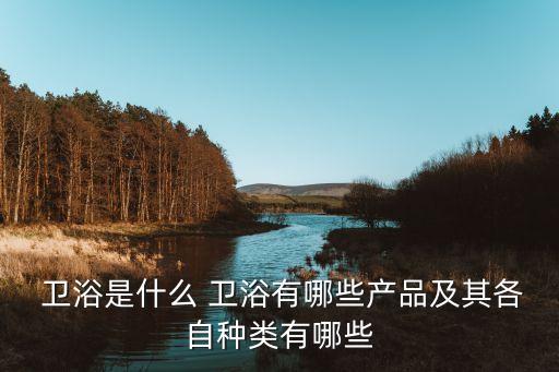 品牌衛(wèi)浴有哪些種類的,衛(wèi)浴品牌排名