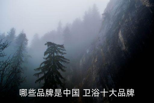 哪些品牌是中國 衛(wèi)浴十大品牌