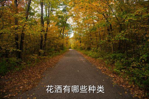  花灑有哪些種類