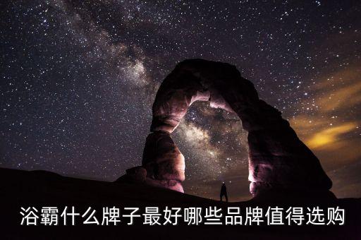  浴霸什么牌子最好哪些品牌值得選購