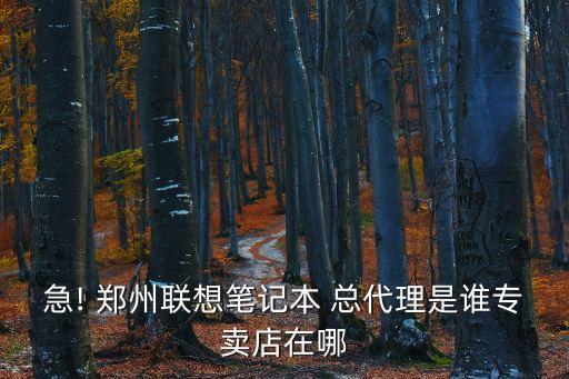 急! 鄭州聯(lián)想筆記本 總代理是誰專賣店在哪