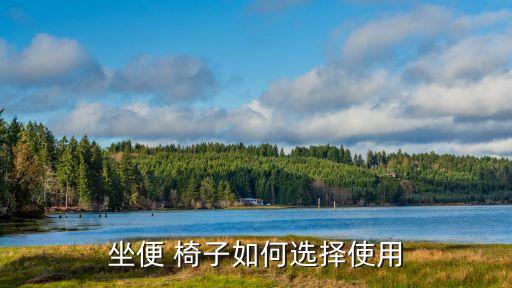 衛(wèi)浴休息椅子圖片大全新款,老人休息椅子圖片大全