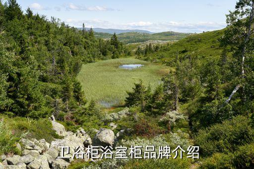 銅一百衛(wèi)浴有限公司電話
