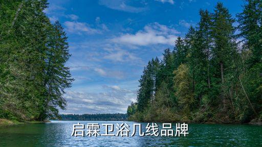 啟霖衛(wèi)浴幾線品牌