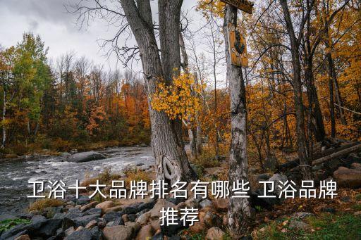  衛(wèi)浴十大品牌排名有哪些 衛(wèi)浴品牌推薦