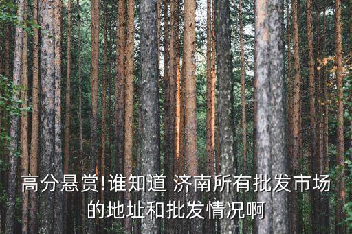 高分懸賞!誰(shuí)知道 濟(jì)南所有批發(fā)市場(chǎng)的地址和批發(fā)情況啊