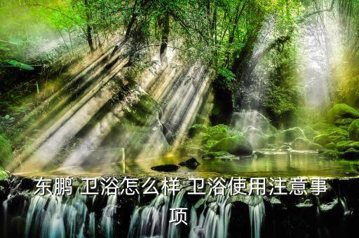  東鵬 衛(wèi)浴怎么樣 衛(wèi)浴使用注意事項