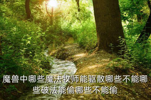 魔獸中哪些魔法牧師能驅(qū)散哪些不能哪些破法能偷哪些不能偷