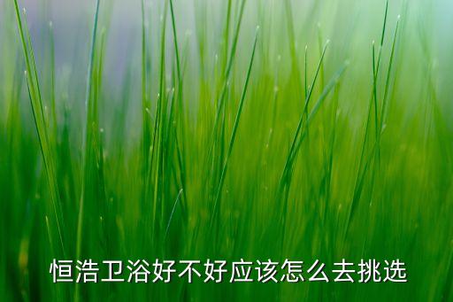  恒浩衛(wèi)浴好不好應(yīng)該怎么去挑選