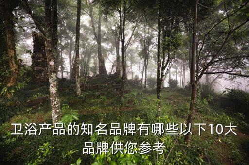 衛(wèi)浴產(chǎn)品的知名品牌有哪些以下10大品牌供您參考