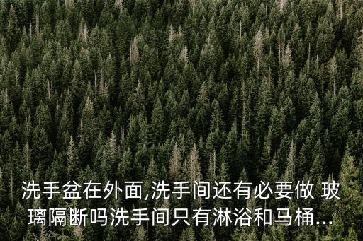 洗手盆在外面,洗手間還有必要做 玻璃隔斷嗎洗手間只有淋浴和馬桶...
