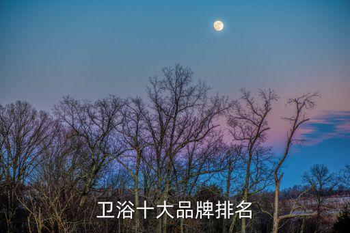 朗科衛(wèi)浴是幾線品牌