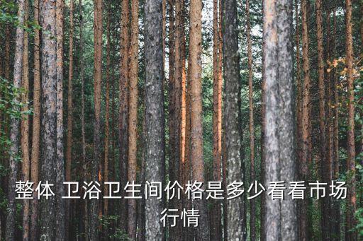整體 衛(wèi)浴衛(wèi)生間價格是多少看看市場行情