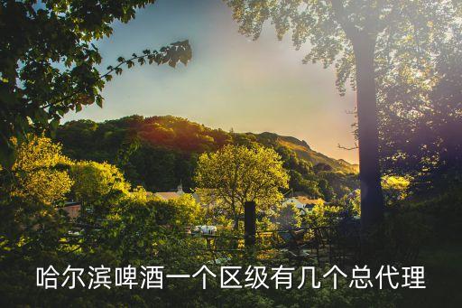 哈爾濱啤酒一個區(qū)級有幾個總代理