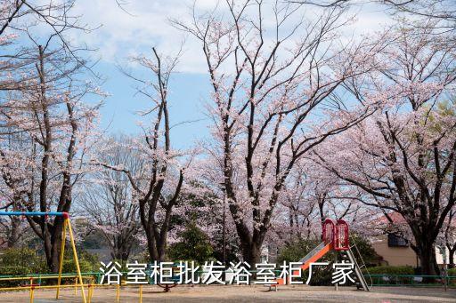撫州富蘭克衛(wèi)浴地址在哪里