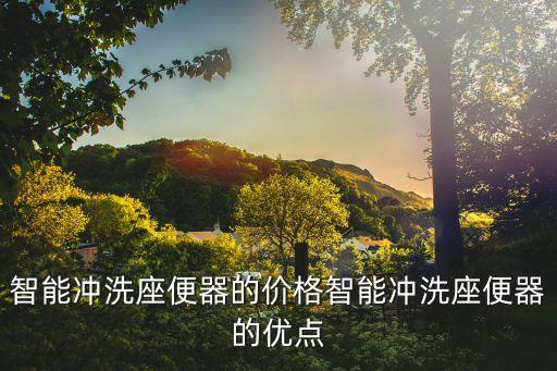 智能沖洗座便器的價(jià)格智能沖洗座便器的優(yōu)點(diǎn)