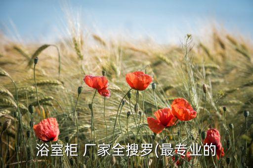 浴室柜 廠家全搜羅(最專業(yè)的