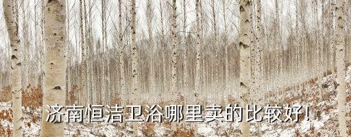  濟南恒潔衛(wèi)浴哪里賣的比較好!