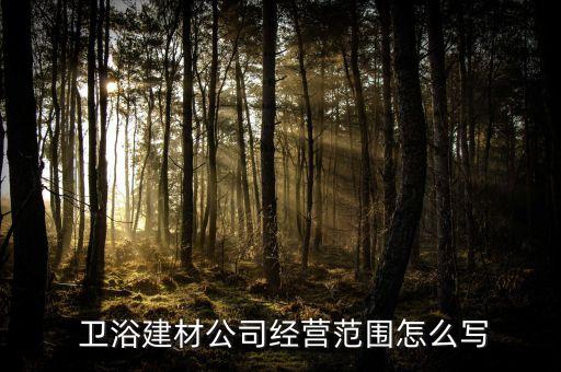  衛(wèi)浴建材公司經(jīng)營范圍怎么寫