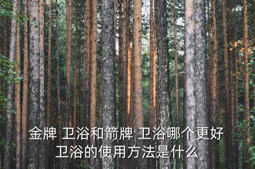  金牌 衛(wèi)浴和箭牌 衛(wèi)浴哪個更好 衛(wèi)浴的使用方法是什么
