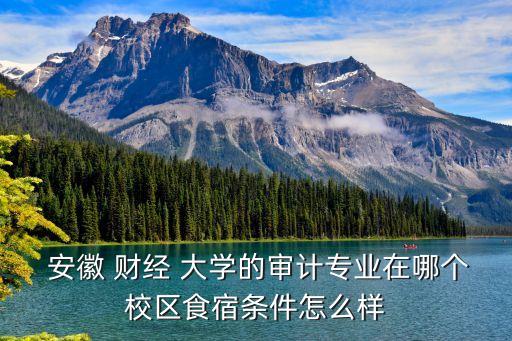  安徽 財經(jīng) 大學(xué)的審計專業(yè)在哪個校區(qū)食宿條件怎么樣
