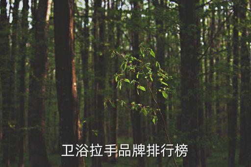 進(jìn)口衛(wèi)浴拉手品牌排行榜