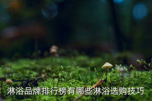 美式深色衛(wèi)浴品牌推薦一下
