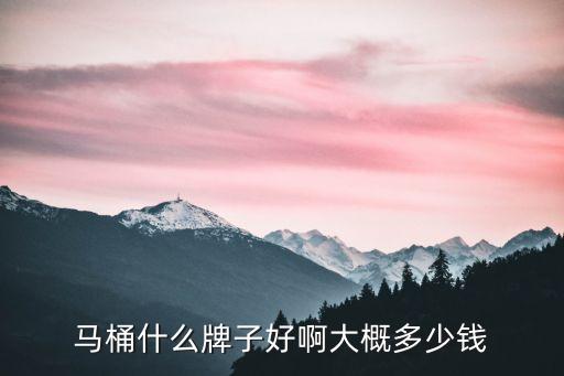 馬桶什么牌子好啊大概多少錢