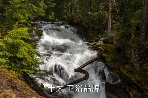 十大 衛(wèi)浴品牌